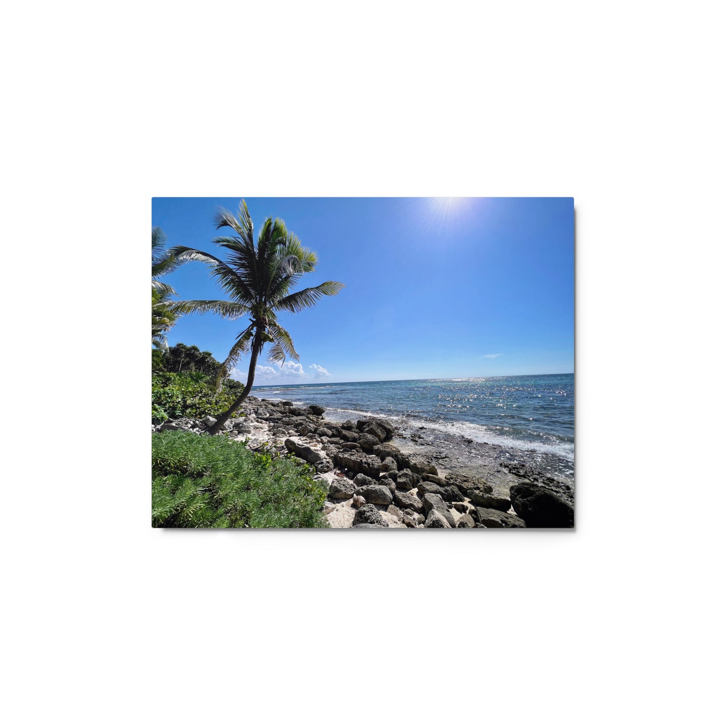 Tropical Shoreline - Metal prints