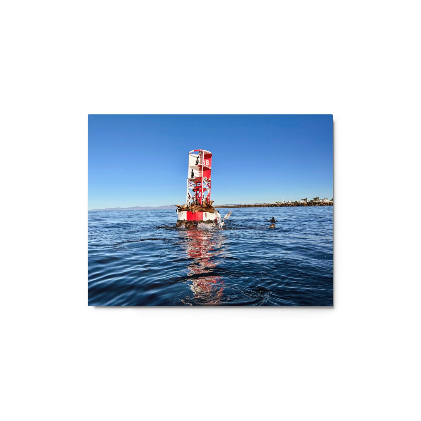 Buoy Activity - Metal print