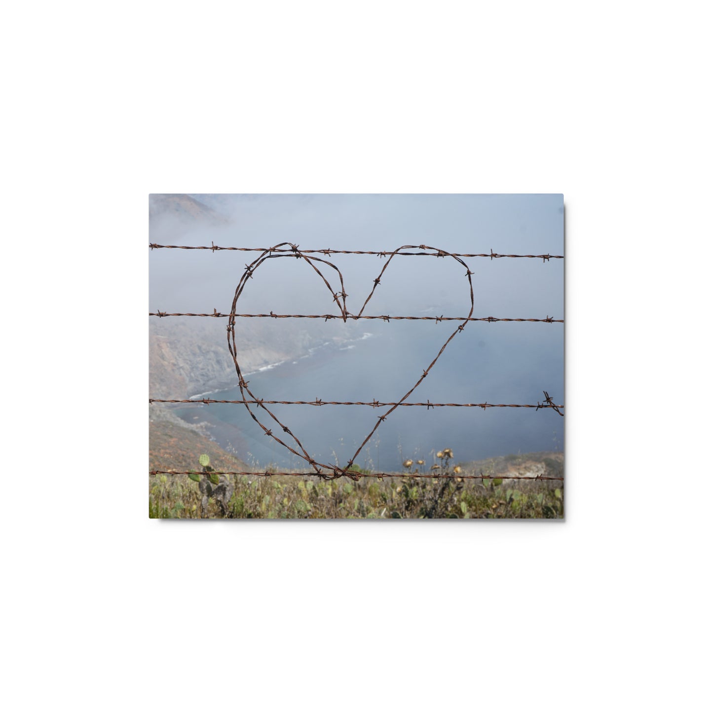 Barbed Wire Heart, Catalina Island - Metal prints