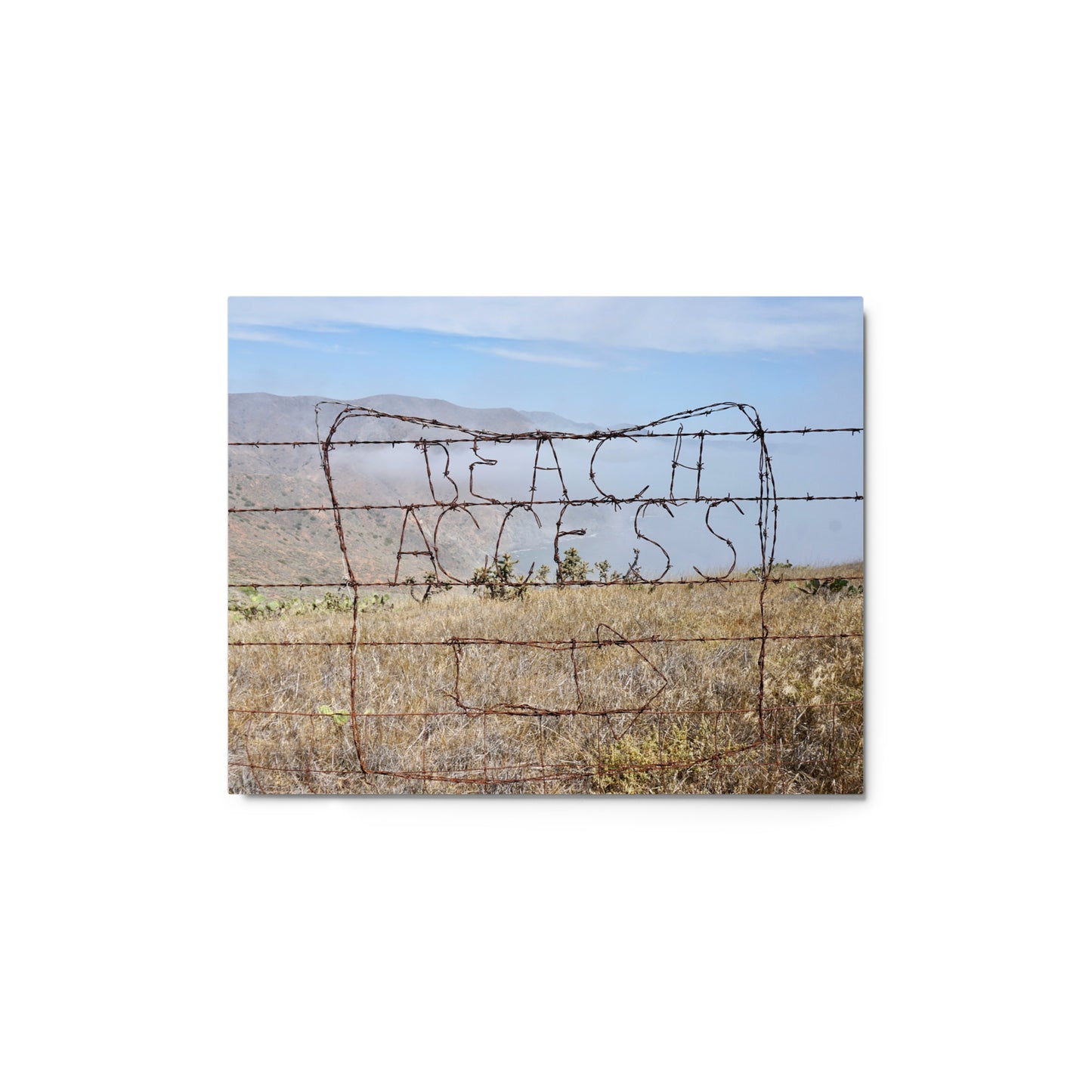 Barbed Wire Beach Access, Catalina Island -  Metal prints