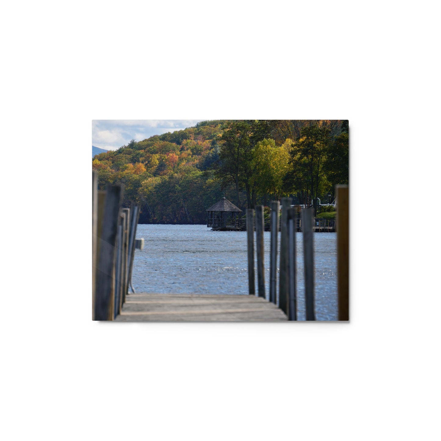 Lakeside Foliage - Metal print