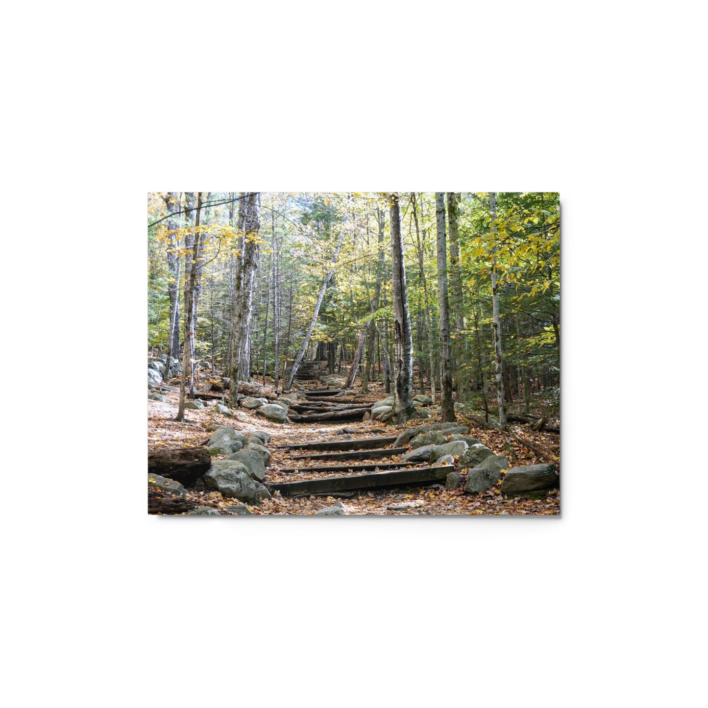 Fall Mountain Stairs - Metal prints