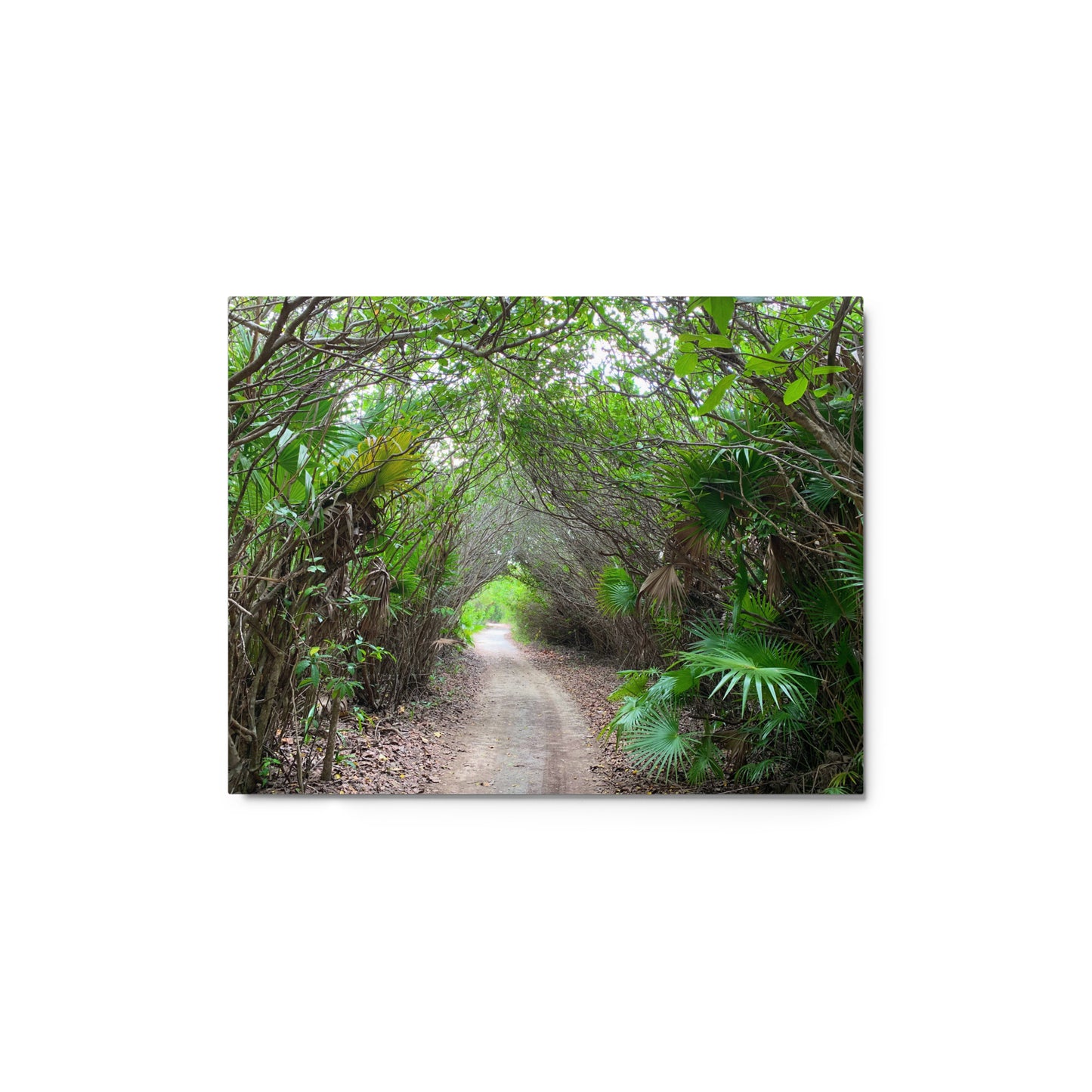 The Path - Metal print