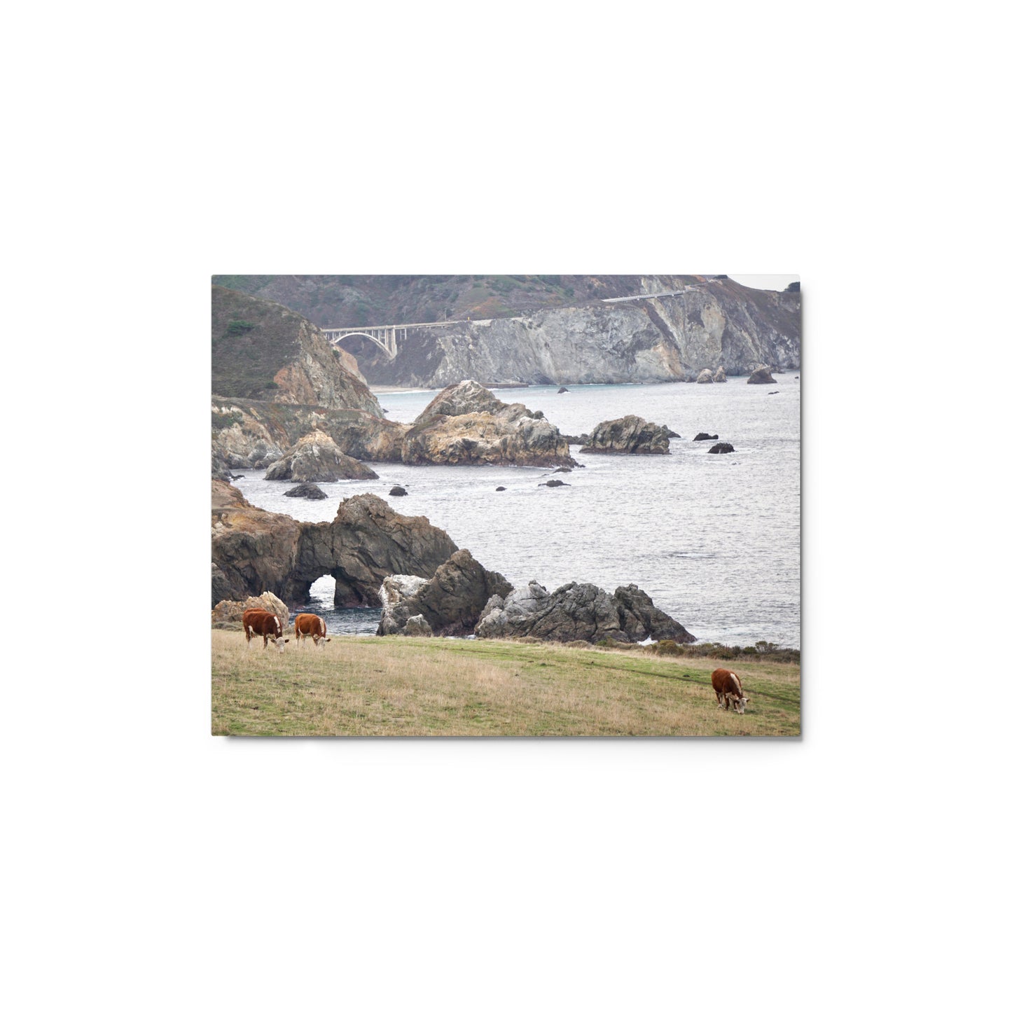 Grazing, Big Sur, CA - Metal print