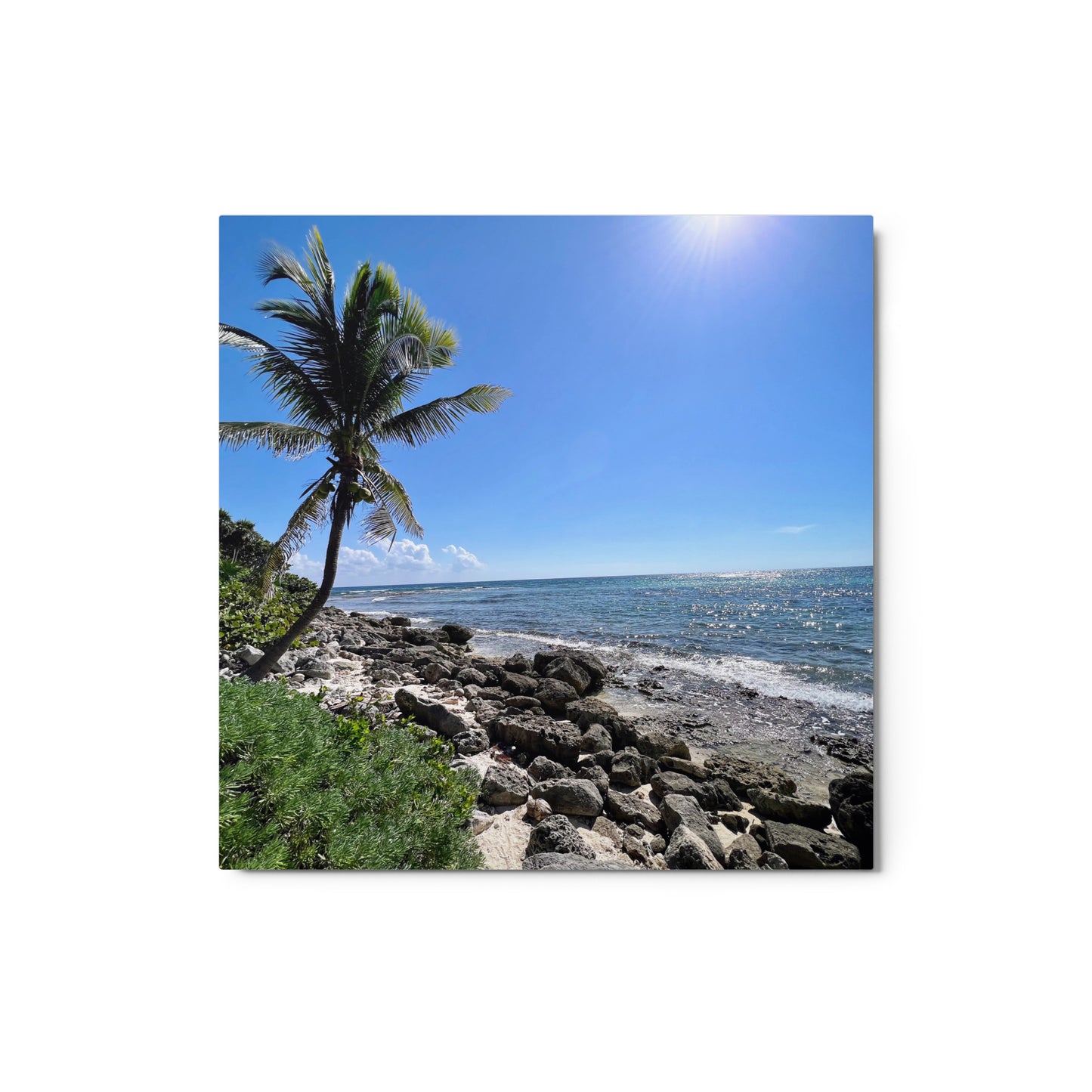 Tropical Shoreline - Metal prints