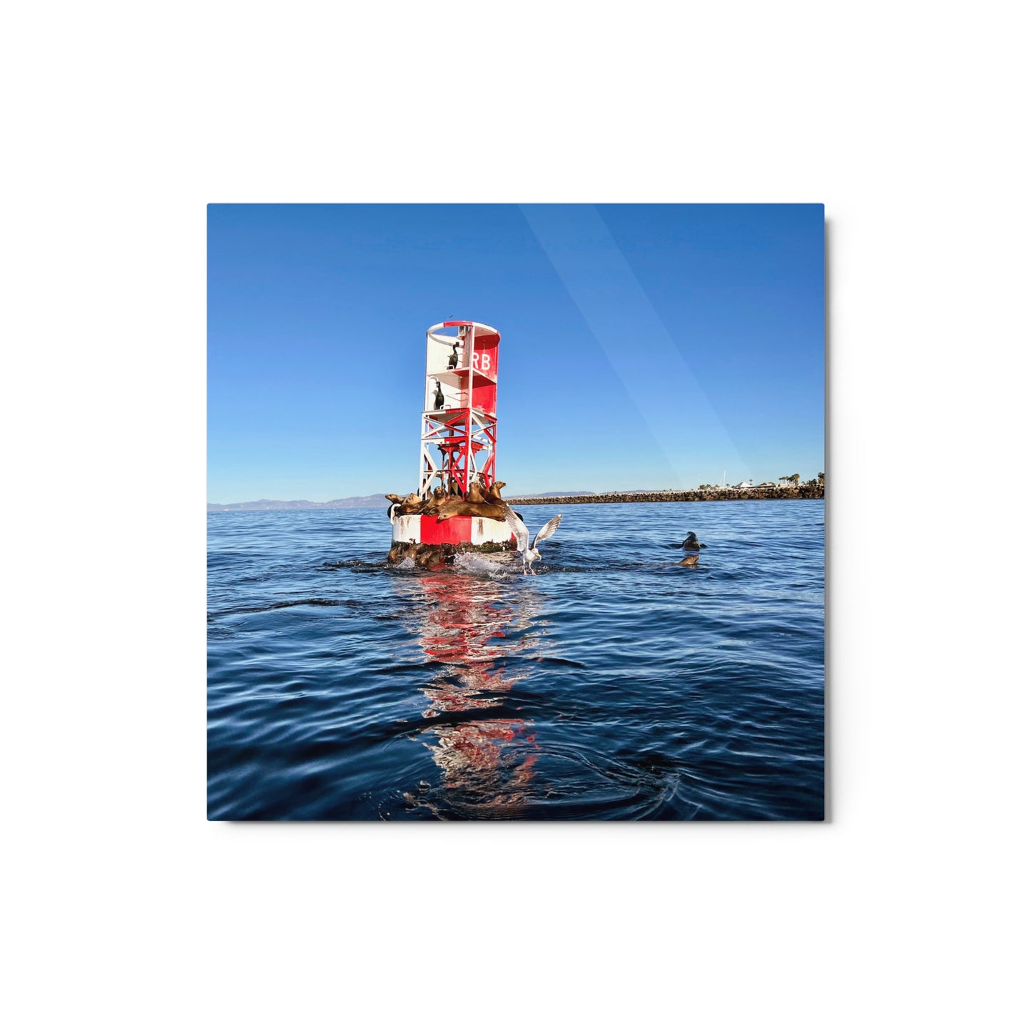 Buoy Activity - Metal print