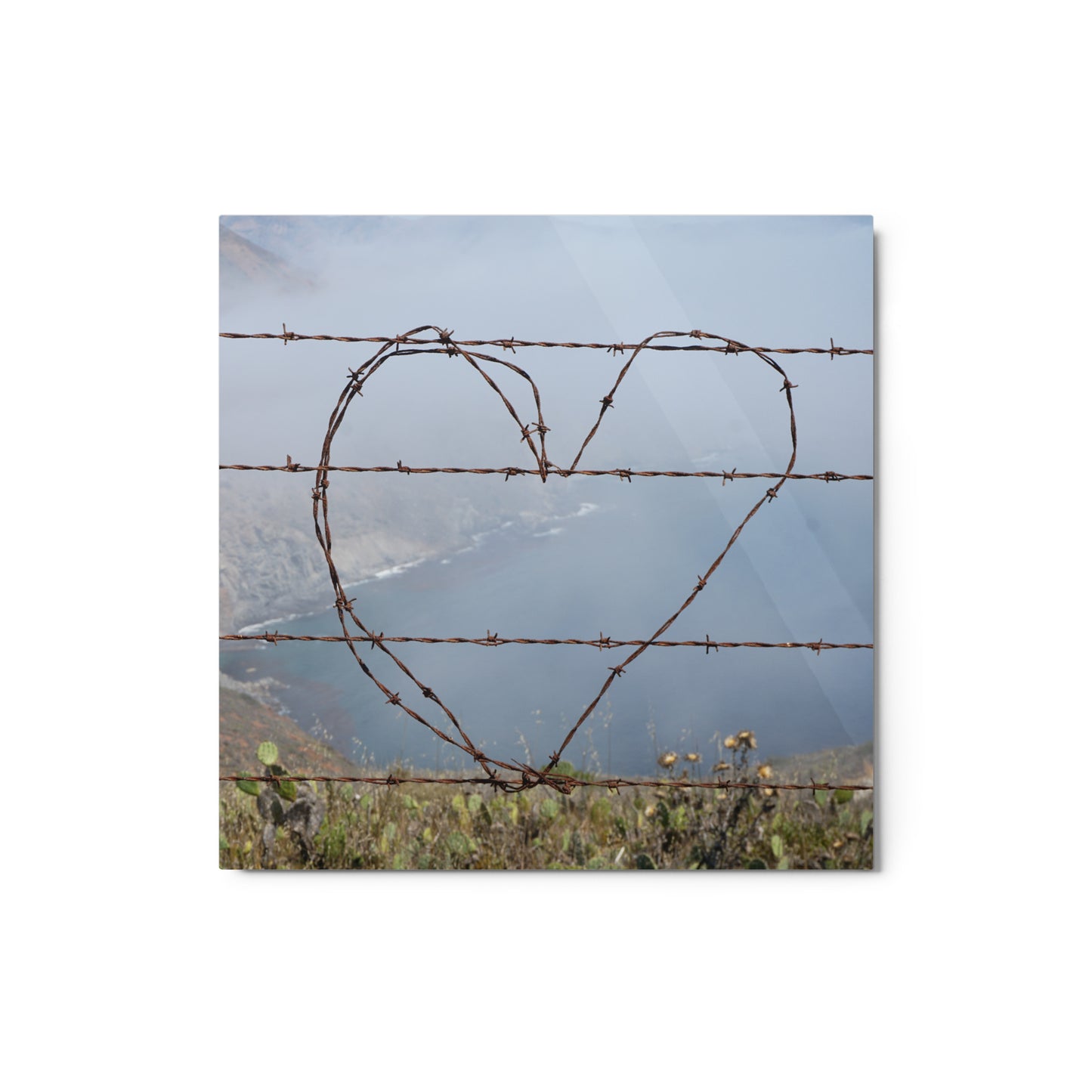 Barbed Wire Heart, Catalina Island - Metal prints