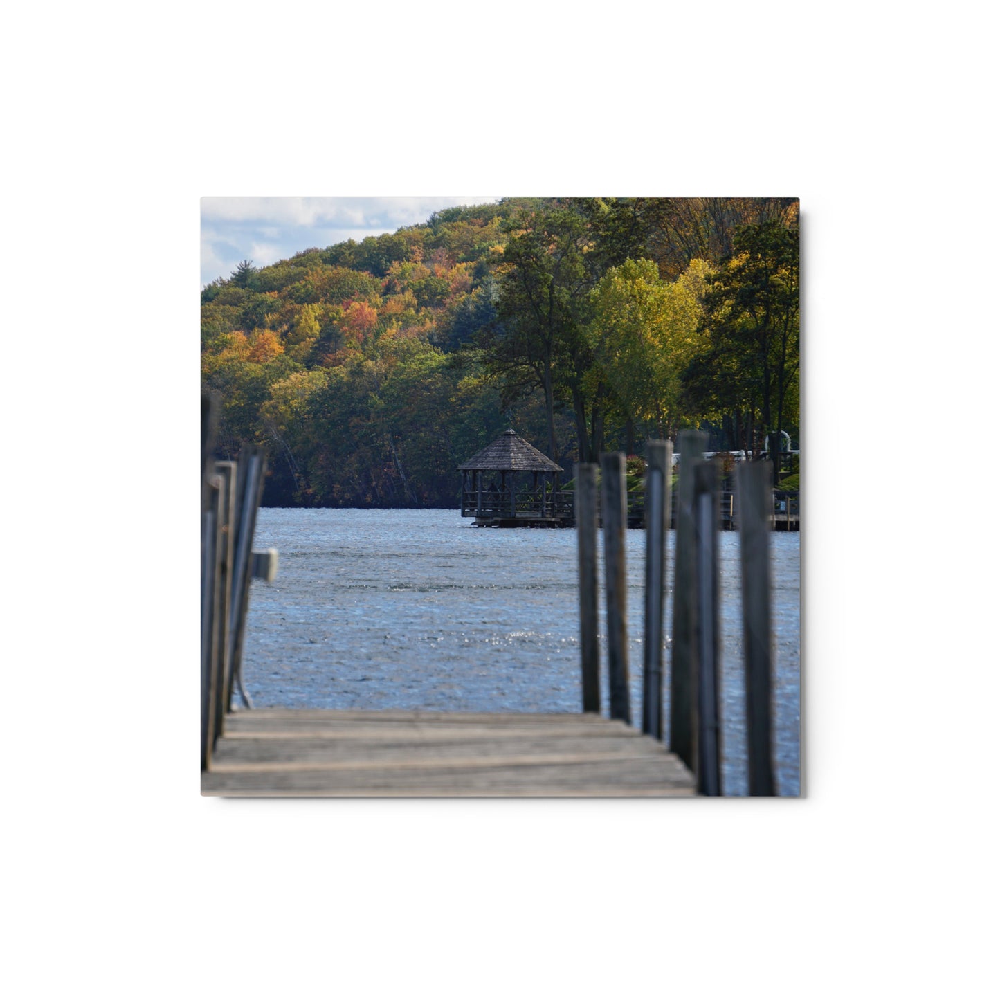 Lakeside Foliage - Metal print