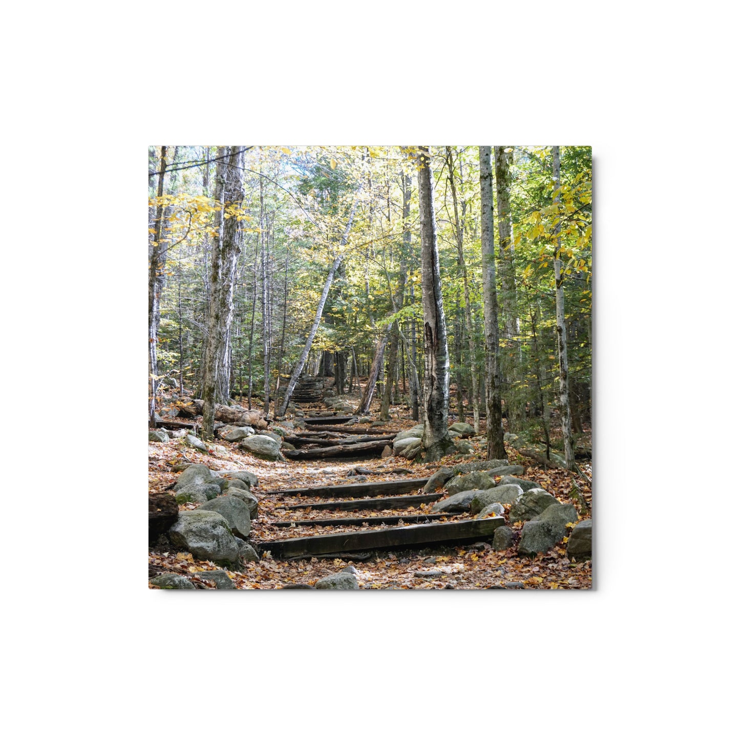 Fall Mountain Stairs - Metal prints