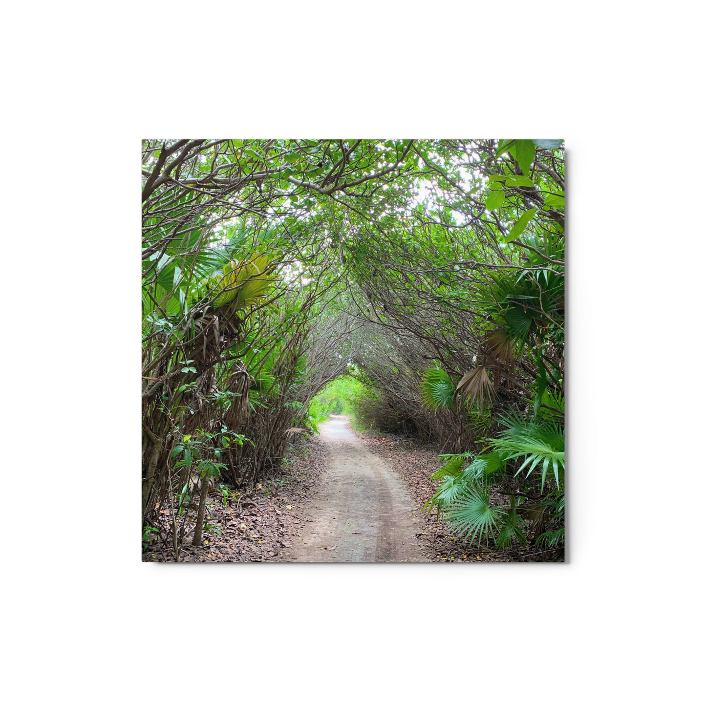 The Path - Metal print