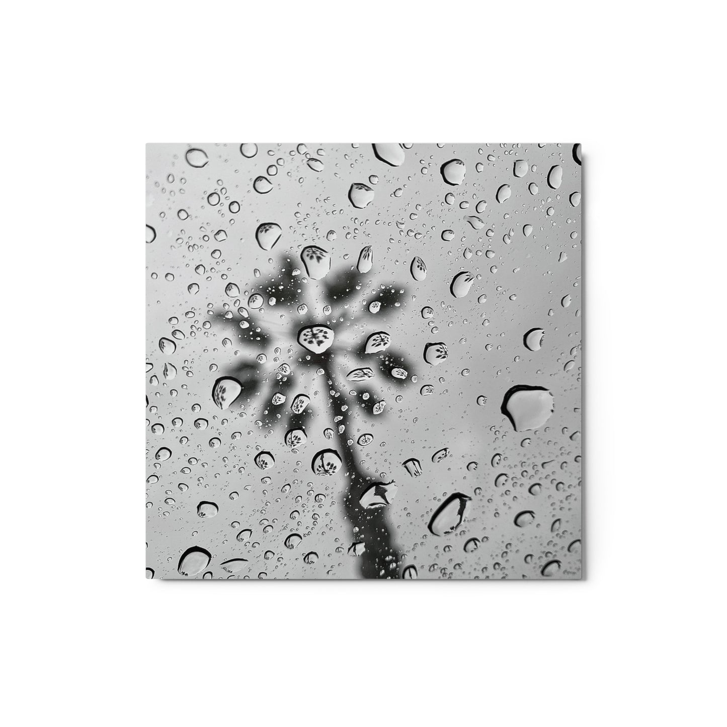 Rain Reflections - Metal print