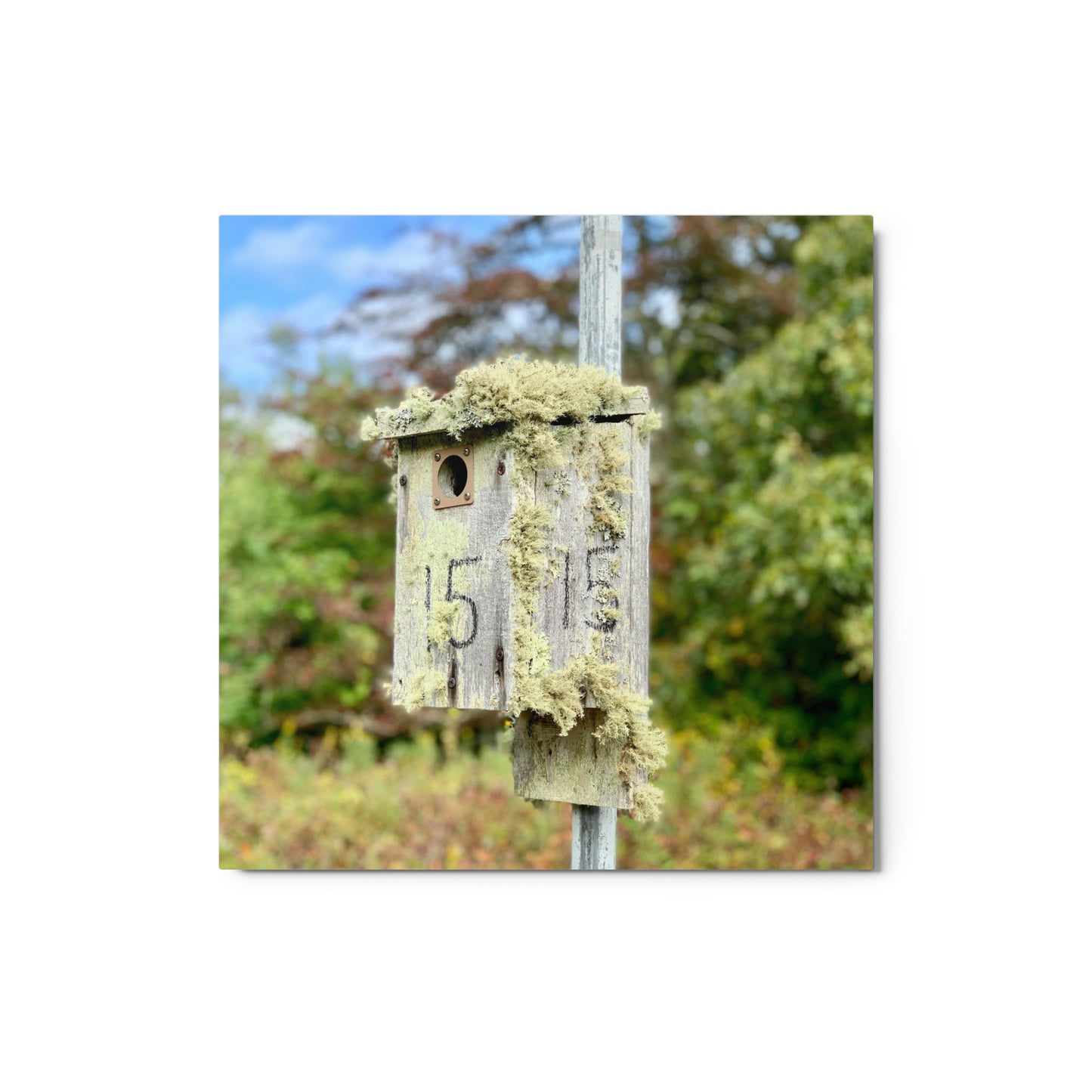 Bird House, Cape Cod - Metal print