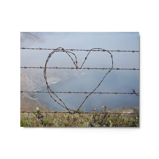 Barbed Wire Heart, Catalina Island - Metal prints