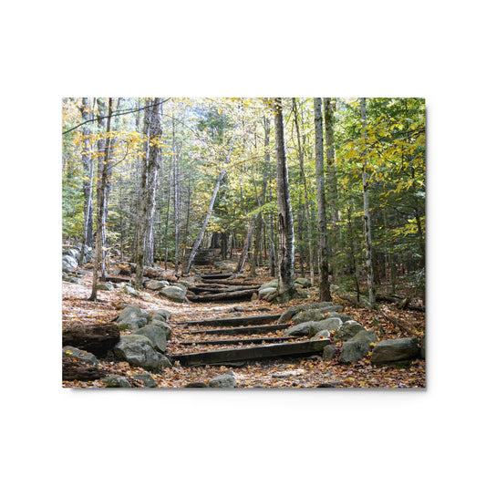 Fall Mountain Stairs - Metal prints