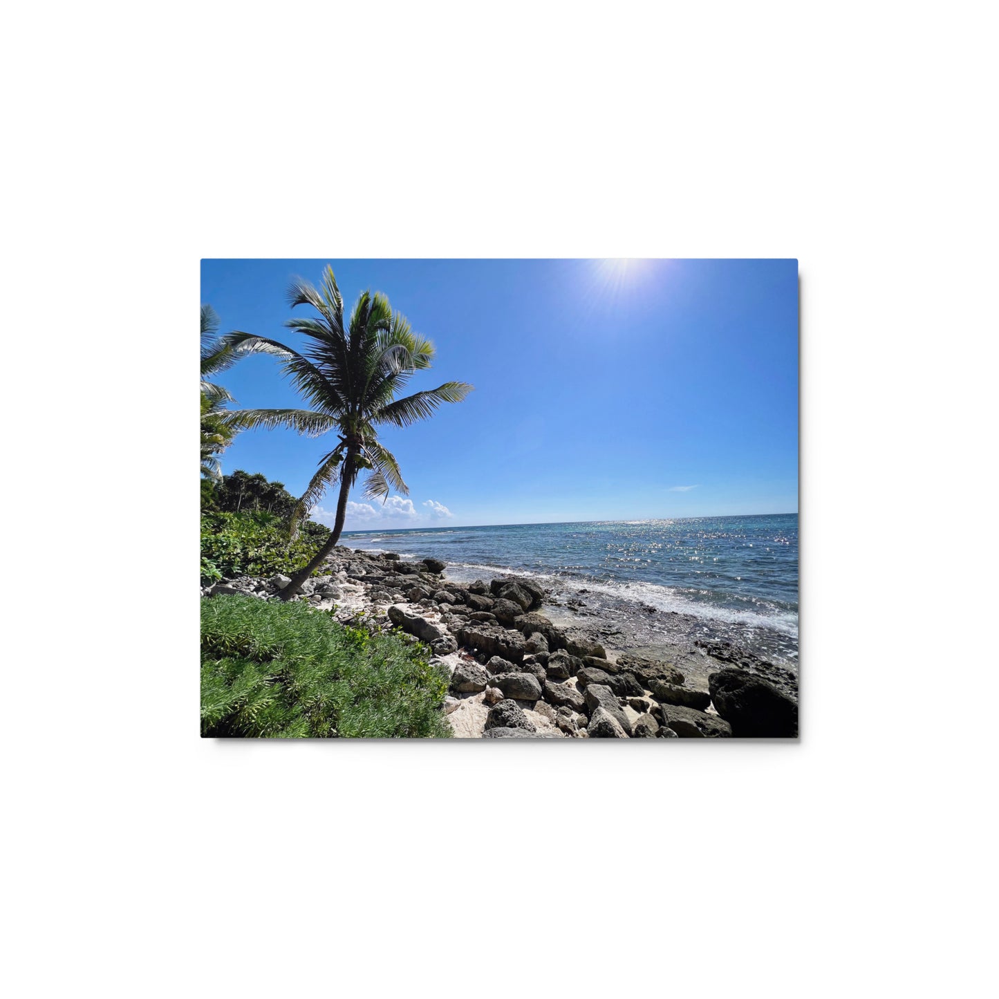 Tropical Shoreline - Metal prints