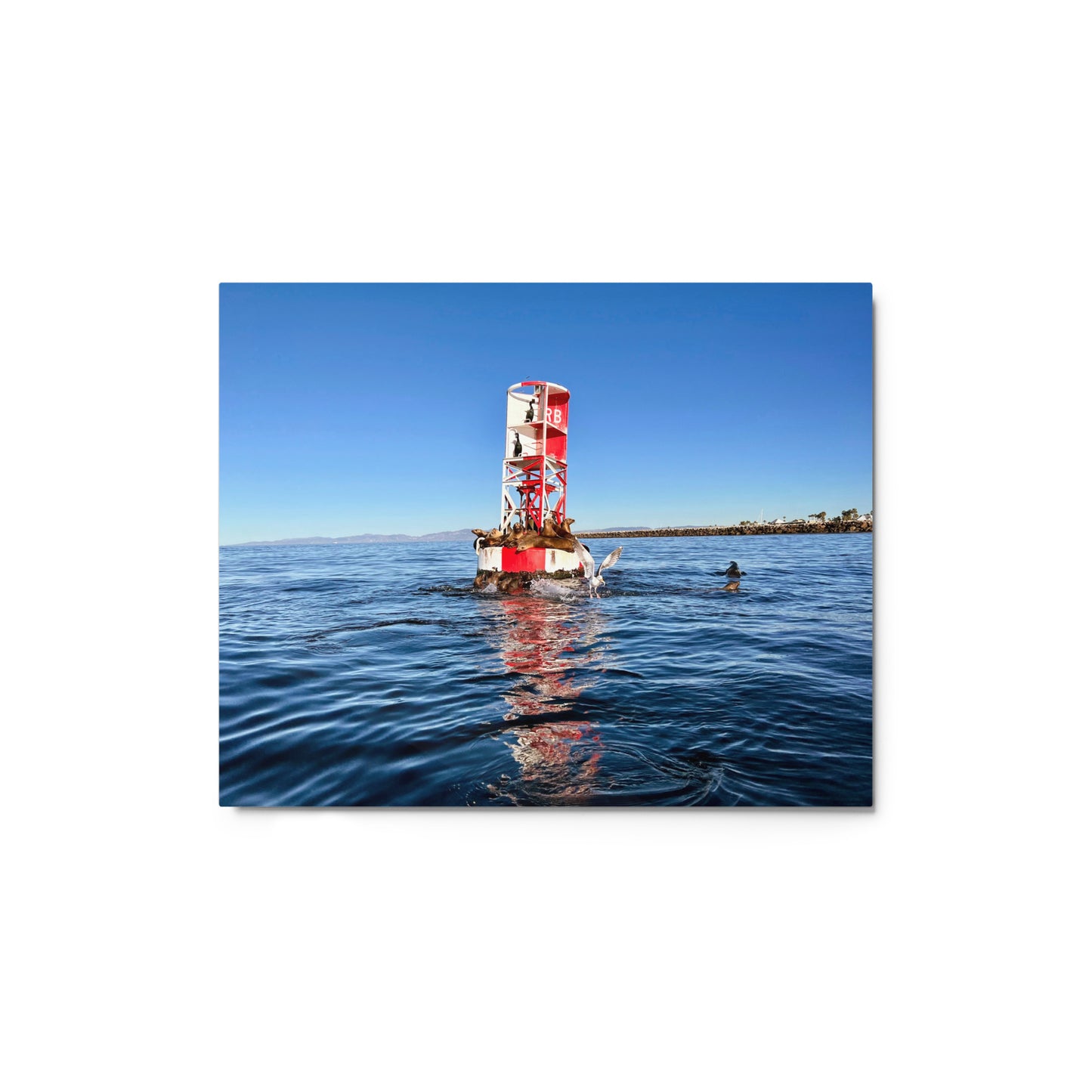 Buoy Activity - Metal print