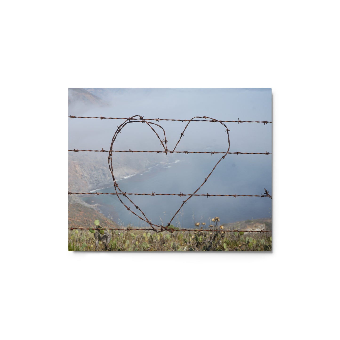 Barbed Wire Heart, Catalina Island - Metal prints