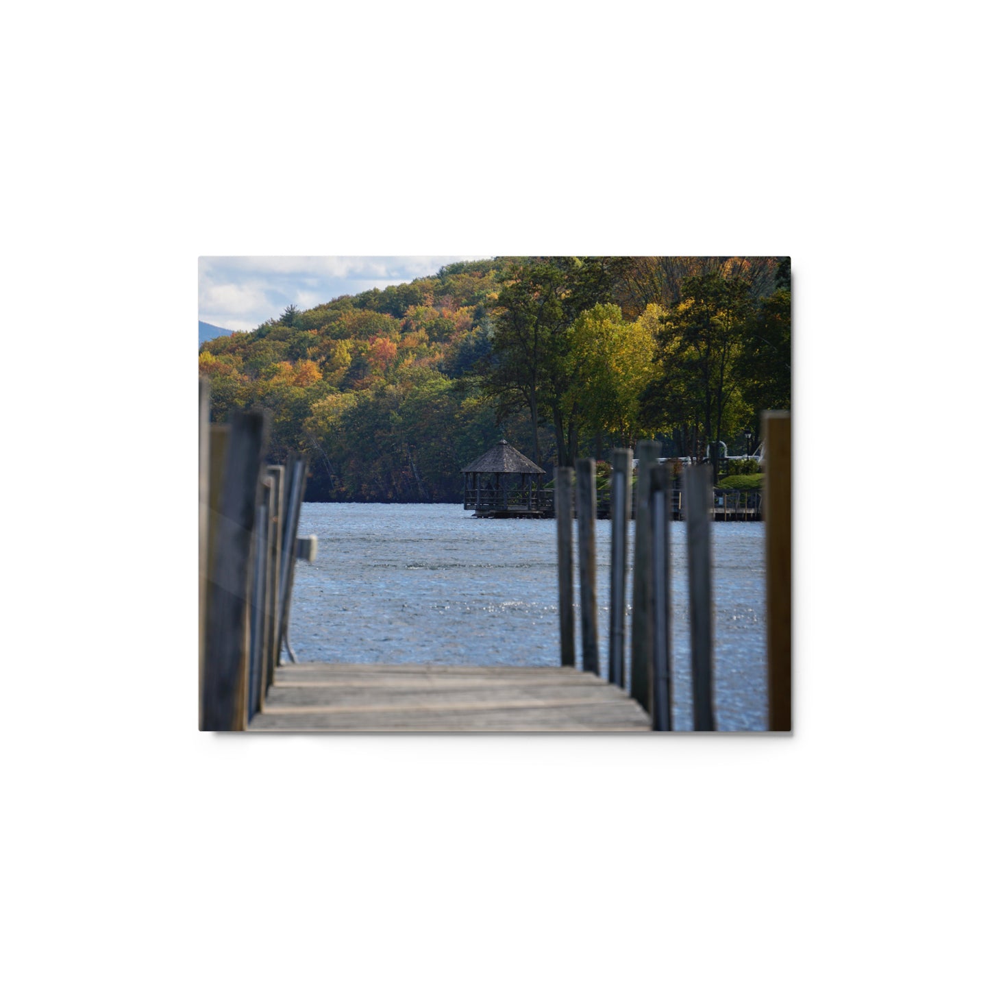 Lakeside Foliage - Metal print