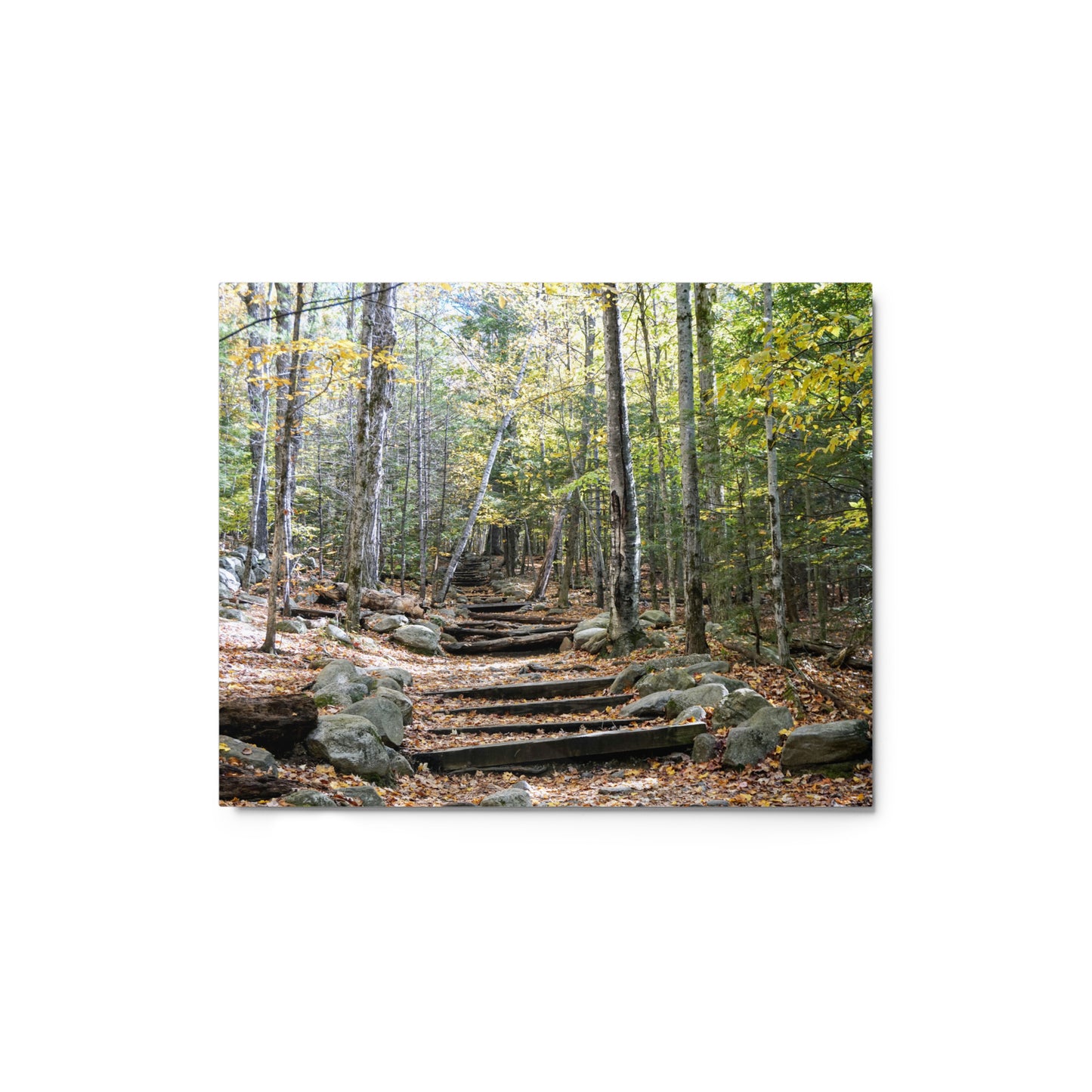 Fall Mountain Stairs - Metal prints