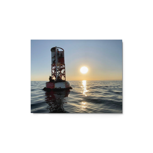 Buoy Sunset - Metal print