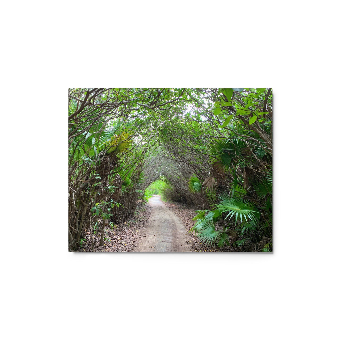 The Path - Metal print