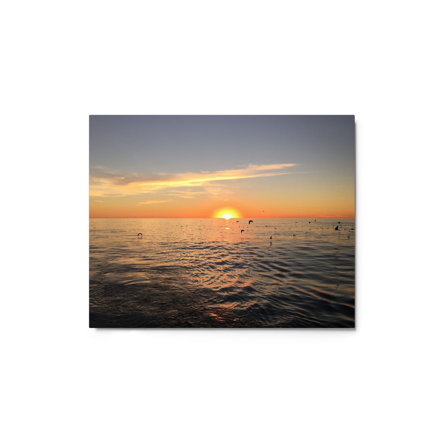 Flight at Sunset - Metal print