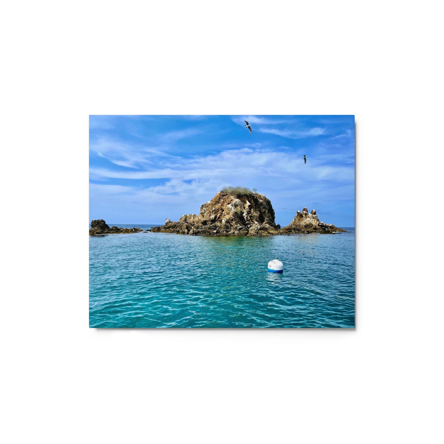 Emerald Bay View - Metal prints