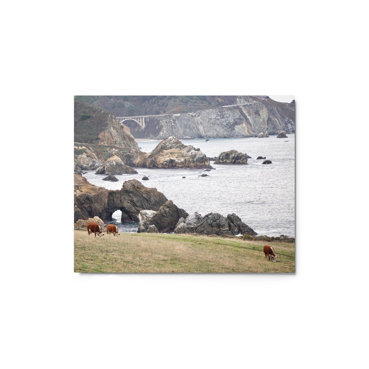 Grazing, Big Sur, CA - Metal print