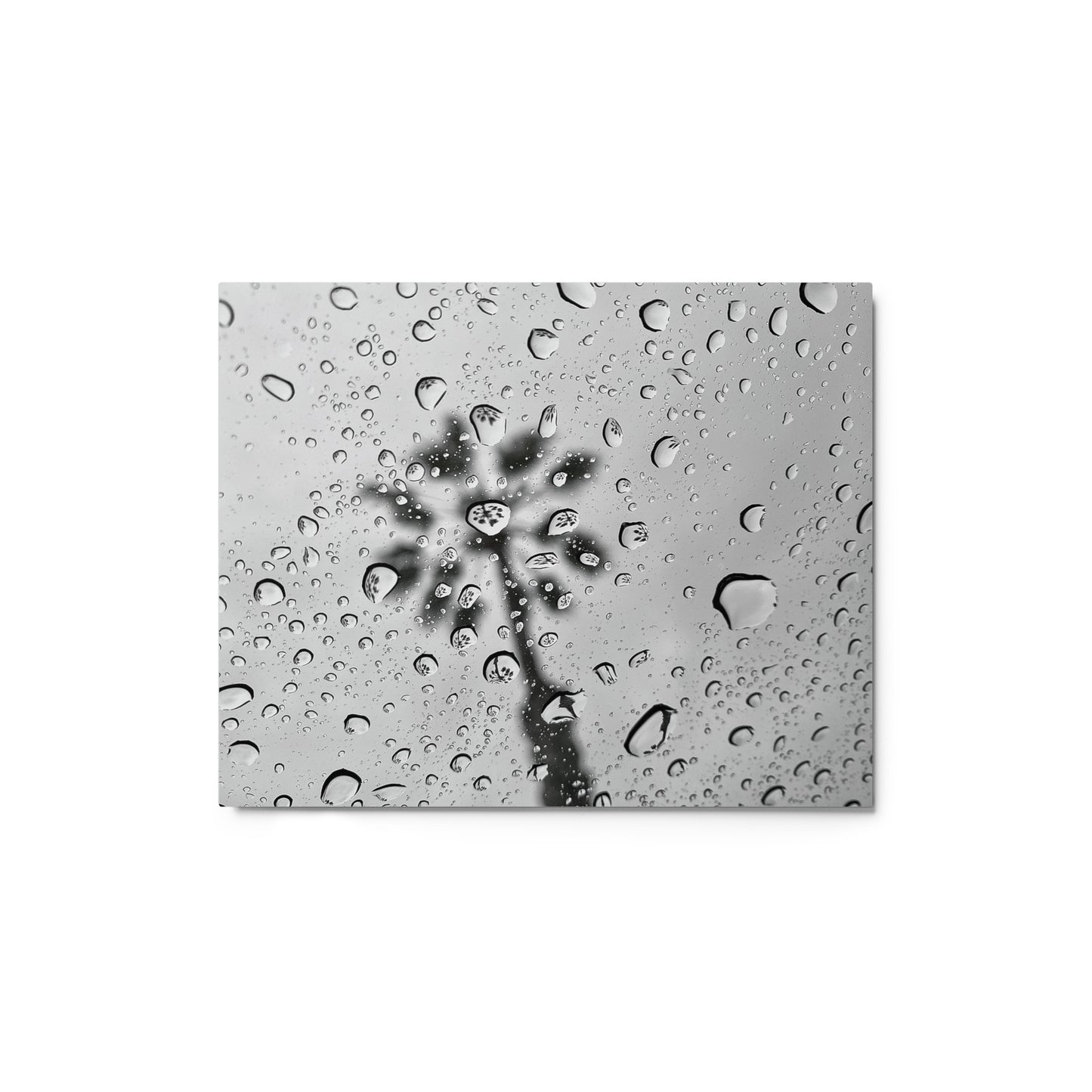 Rain Reflections - Metal print